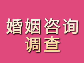 池州婚姻咨询调查